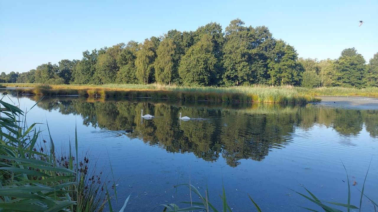 Helle Ferienwohnung In Nettetal Bei Venlo Zewnętrze zdjęcie